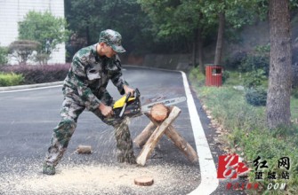 长沙望城区林业局组织森林消防器材演练-
